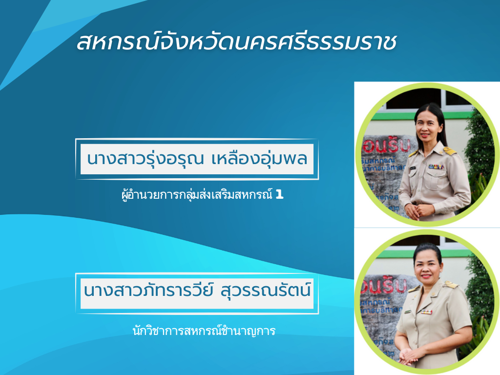 คู่มือเว็บแอพ